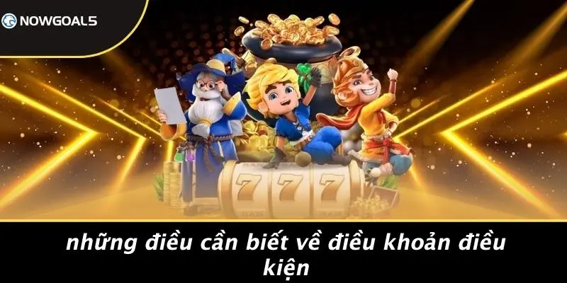 Những Điều Cần Biết Về Điều Khoản Điều Kiện