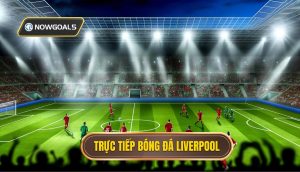 Trực tiếp bóng đá Liverpool