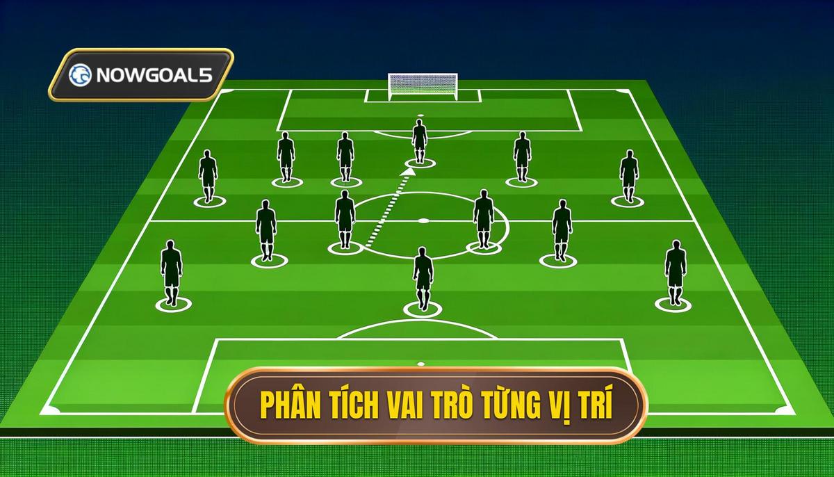 Phân tích vai trò Chi tiết của từng vị trí