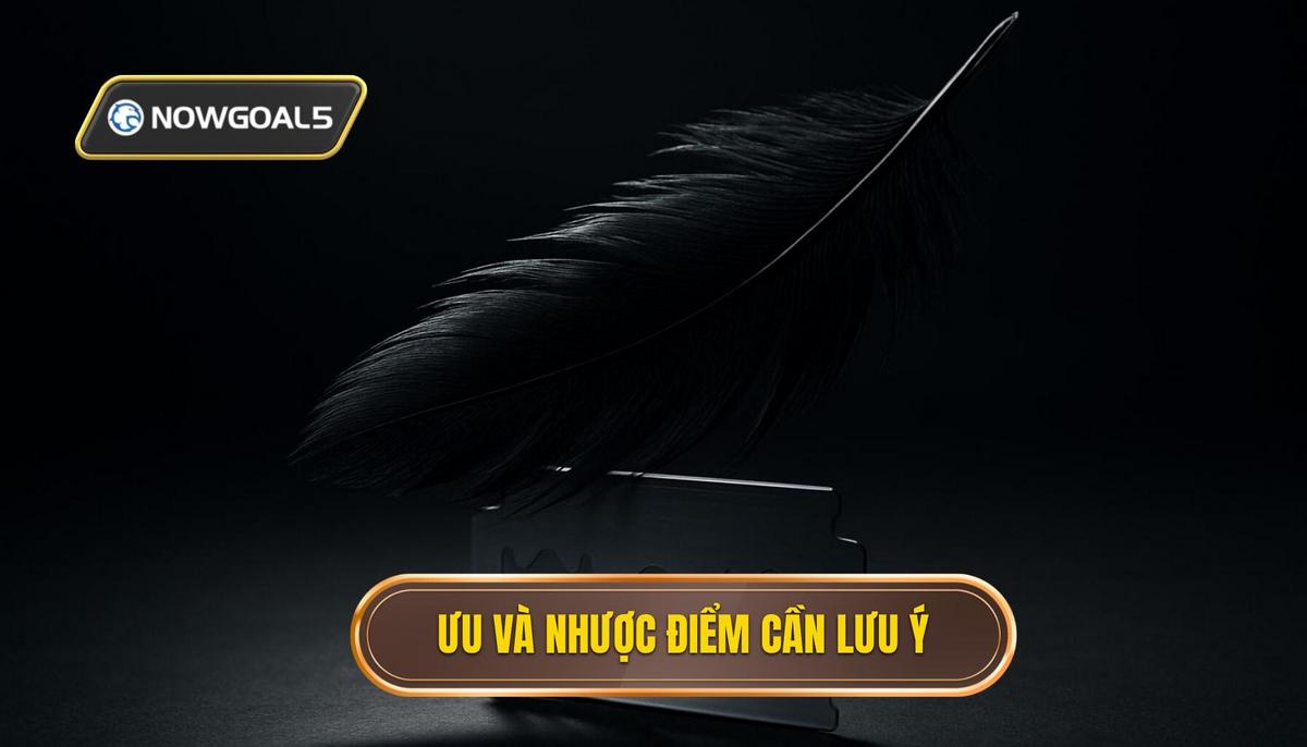 Ưu Điểm Vượt Trội Và Nhược Điểm Cần Khắc Phục