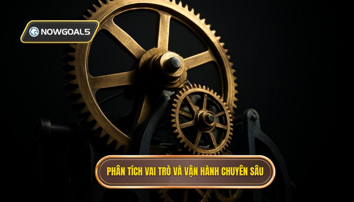 Phân tích Chuyên sâu Vai trò và Vận hành