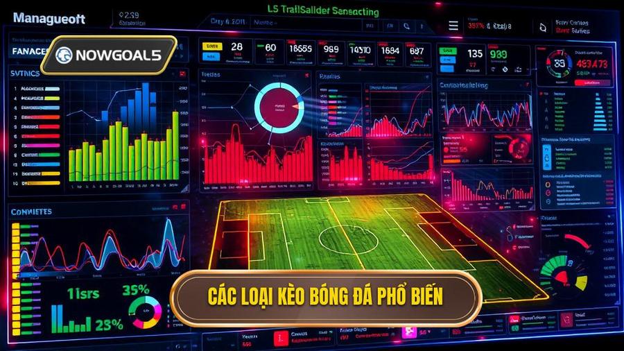 Các loại kèo phổ biến trong bảng kèo chính thức