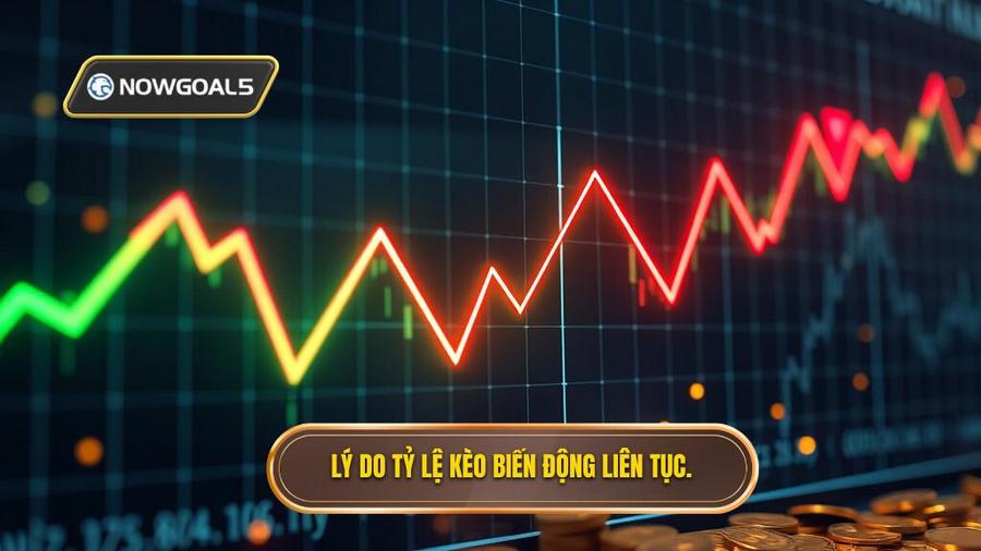 Tại sao tỷ lệ kèo biến động liên tục?